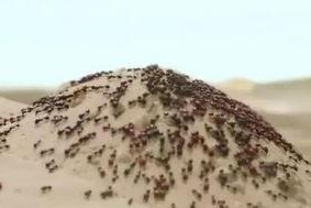 国产你懂的网站,内容丰富，暗藏玄机