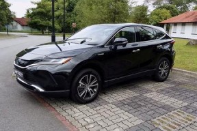 国产19p,引领科技潮流的创新之作